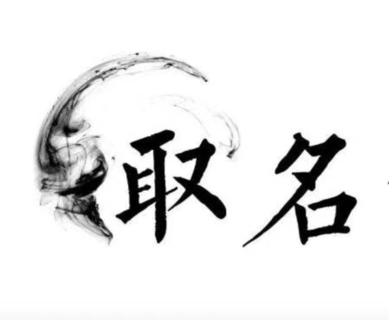 文山宝宝取名 大师一对一人工起名