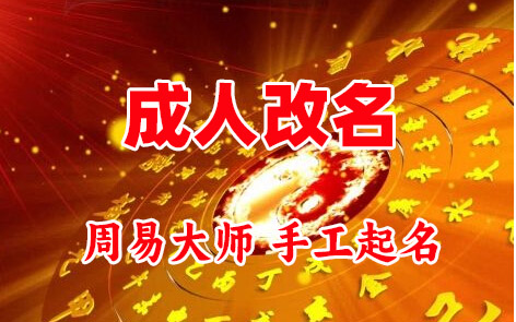 文山成人改名-找大师一对一改名先分析后改名